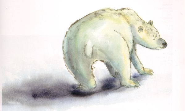 一隻無聊的北極熊