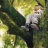 一個坐在樹上的小男孩