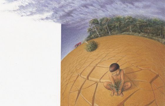《永恒的智者》小男孩坐在乾枯的大地上抱著一顆小草