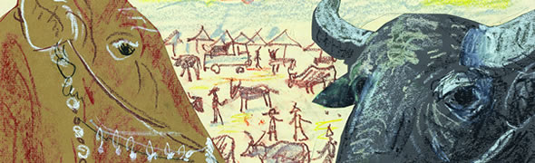 文章裝飾圖:水牛與黃牛