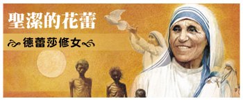 聖潔的花蕾-德雷莎修女視覺意象圖