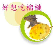 好想吃榴槤書本封面