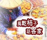 柿子書本封面