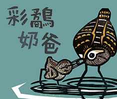 彩鷸奶爸