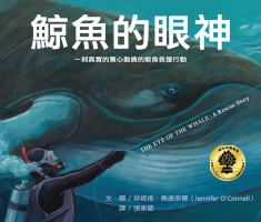 鯨魚的眼神書本封面