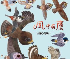 風中有鷹書本封面