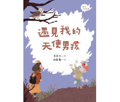 遇見我的天使男孩書本封面