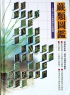蕨類圖鑑：台灣三百多種蕨類生態圖鑑封面圖