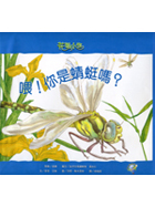 喂!你是蜻蜓嗎?（ Up the Garden Path: Are you a Dragonfly?）封面圖