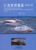 臺灣鯨類圖鑑：海豚及其他小型鯨封面圖