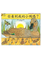 你看到我的小鴨嗎？（ HAVE YOU SEEN MY DUCKLING）封面圖