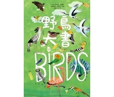 野鳥大書BIRDS（ The Big Book of the Bird）封面圖