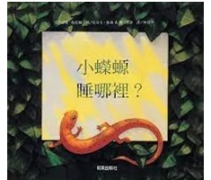 小蠑螈睡哪裡?（ The salamander room）封面圖