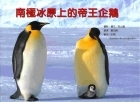 南極冰原上的帝王企鵝書本封面