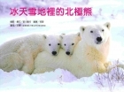 冰天雪地裡的北極熊書本封面