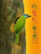 我看見一隻鳥書本封面