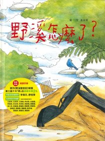 野溪怎麼了?書本封面