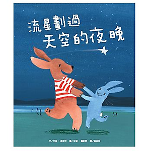 流星劃過天空的夜晚書本封面