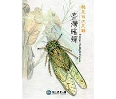 聽見台江天籟：臺灣暗蟬書本封面