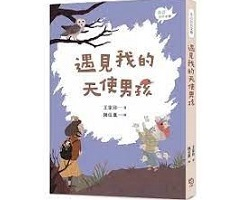 遇見我的天使男孩書本封面