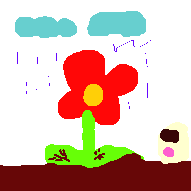 花和雨