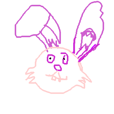 RABBIT