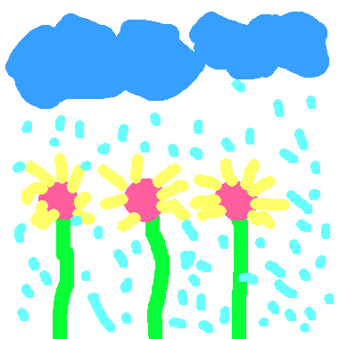 下雨天的花園