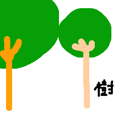 樹