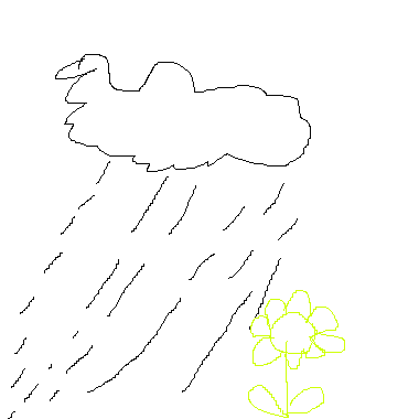 下雨和花