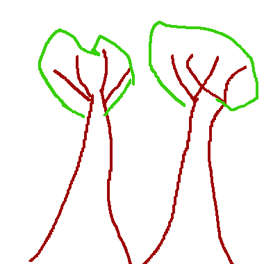 兩棵大樹