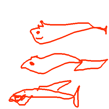 小魚