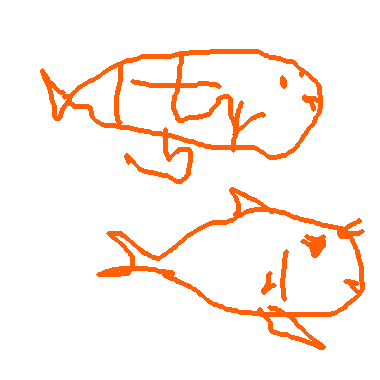 金魚