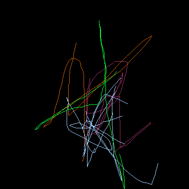 作品：黑鳥巢