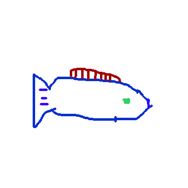 魚