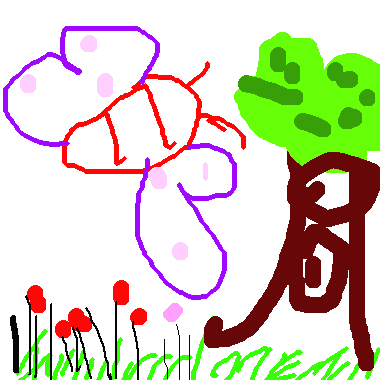 我的密秘花園