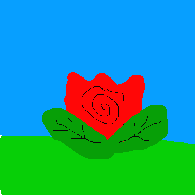 rose