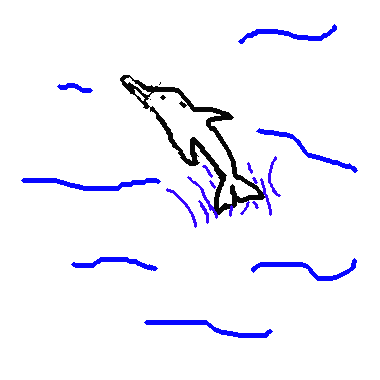 Dolphin