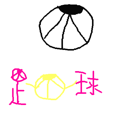 作品：足球