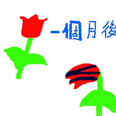 作品：人曾死如花