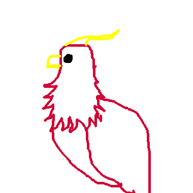 鳳