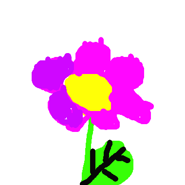 作品：七彩繽紛的花