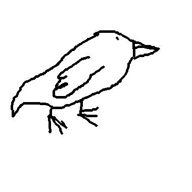 Bird