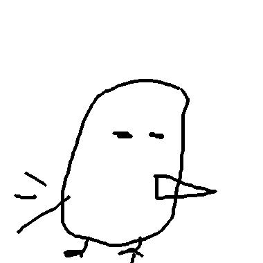 bird