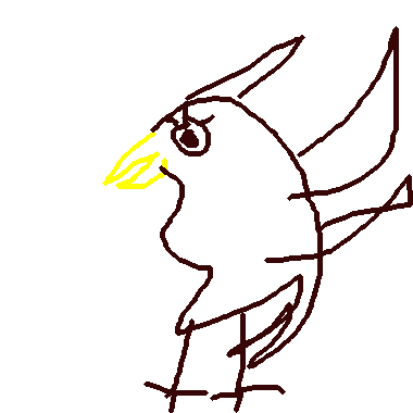 bird