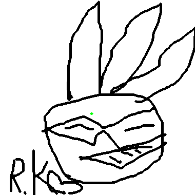 R.K.