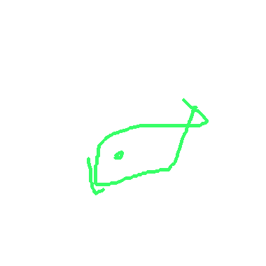 小魚