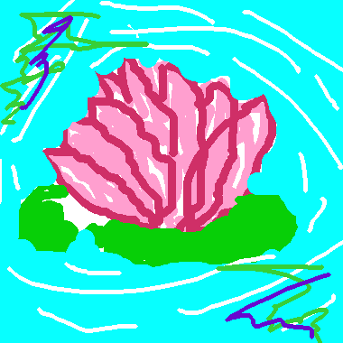 作品：蓮花