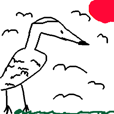 鳥