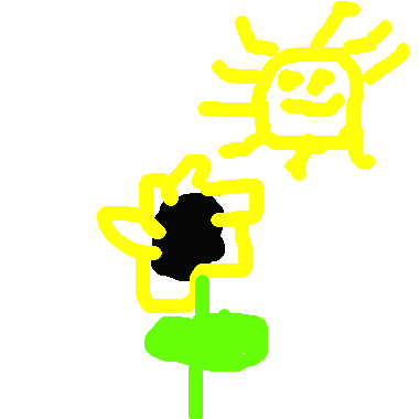 Flower & Sun