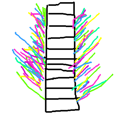 作品：台北101煙火秀